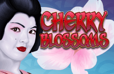 Cherry Blossoms