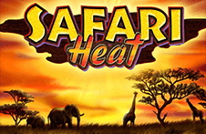 Safari Heat